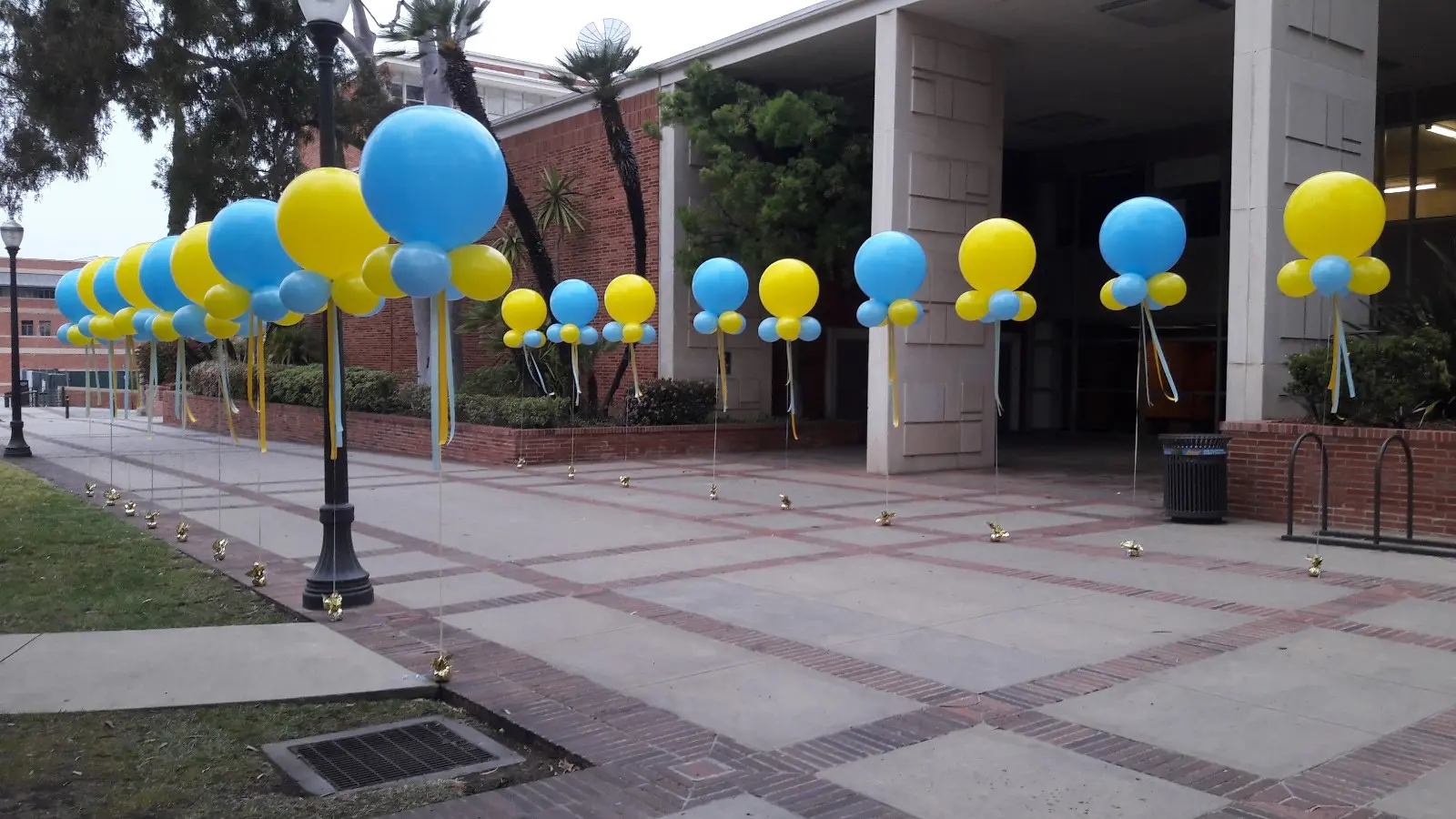 Blue and yellow balloons lining outdoor walkway