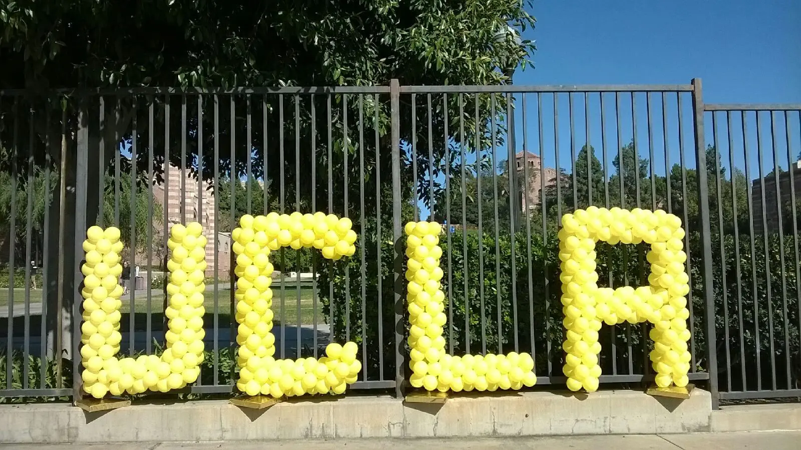 UCLA spelled with yellow balloons