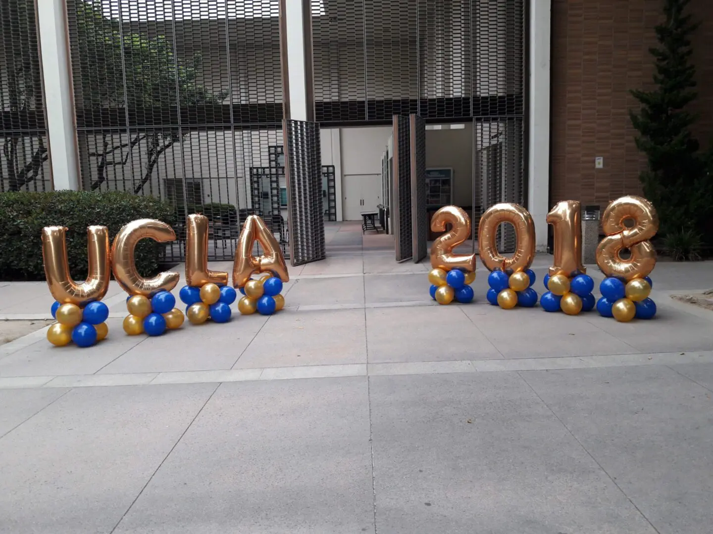 Gold UCLA 2018 balloons on blue bases